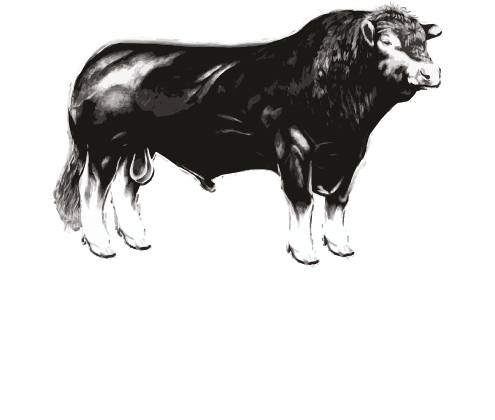 Paleo Beef | Boutique de Cortes Finos